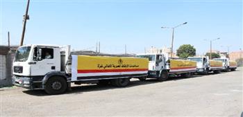 «الأوقاف»: إرسال 40 طن سلع غذائية من مشروع صكوك الإطعام إلى غزة 