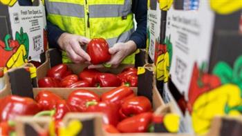بريطانيا تبدأ عمليات فحص واردات الأغذية الطازجة من الاتحاد الأوروبي