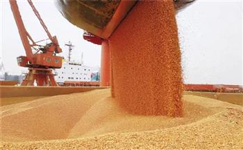 واردات الصين من الحبوب الغذائية تسجل نموا 