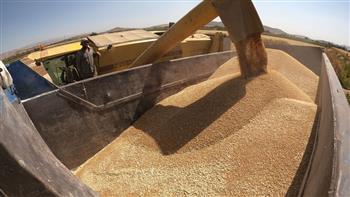 روسيا: رسوم تصدير القمح ستبلغ 35.2 دولار للطن المتري بدءًا من هذا الموعد