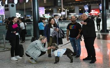 بزي رسمي ومواعيد عمل.. مطار يتعاقد مع 5 كلاب لتهدئة المسافرين