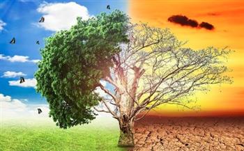 «الزراعة» توجه نصائح مهمة للتعامل مع التغيرات المناخية