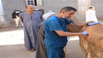 "الزراعة" تنظم قافلة بيطرية مجانية لعلاج مواشي صغار المربين بكفر الشيخ