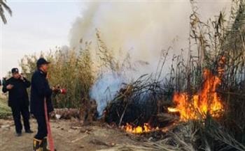 القبض على المتهم بإضرام النيران في أرض زراعية بالمنيا