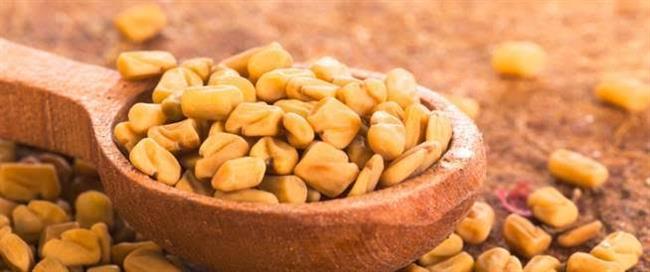 تعرف على الفوائد للحلبة