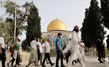 الأردن: اقتحام المستوطنين الإسرائيليين للمسجد الأقصى خرقا فاضحا للقانون الدولي