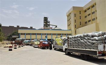 "تموين الإسكندرية": توريد 65265 طن من الأقماح المحلية 
