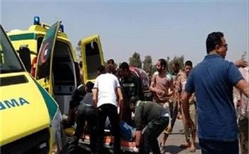 مصرع وإصابة 19 شخصًا في حادث تصادم مروع على طريق شبرا الخيمة