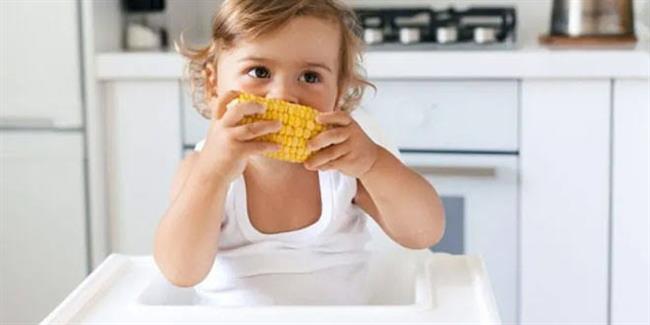 في الصيف.. أهمية تناول الأطفال للذرة