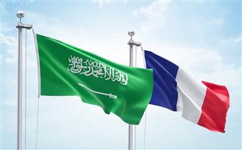 السعودية وفرنسا تبحثان جهود التوصل لوقف فوري لإنهاء الحرب في غزة