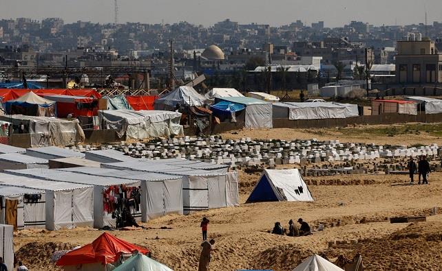 مقررة أممية: الإبادة الجماعية في غزة لن تنتهي دون ضغوط خارجية