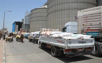 "تموين الإسكندرية": توريد أكثر من 19 ألف طن من القمح ومتابعة دقيقة لعمليات الاستلام  