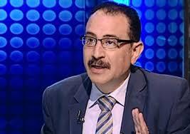 أستاذ علوم سياسية: الدور المصري يحدد بوصلة الاتجاهات في الأزمة الراهنة