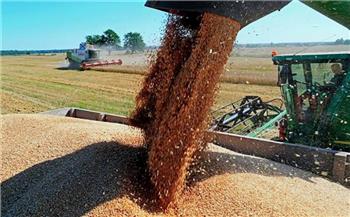 خلال عام.. «الزراعة الأوكرانية»: تصدير 46.7 مليون طن من الحبوب والمحاصيل البقولية 
