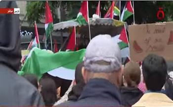 مظاهرات في باريس تنديدًا بالحرب على غزة (فيديو)