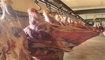 التموين: ضخ اللحوم والدواجن بتخفيضات تصل لـ 20 % عن الأسواق بالمنافذ التابعة لـ«القابضة الغذائية»