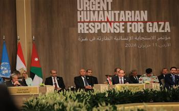 الرئيس السيسي: الحلول العسكرية والأمنية لن تحمل إلى منطقتنا إلا المزيد من الدماء