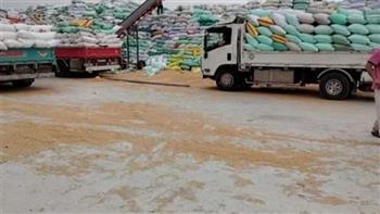توريد أكثر من 607 آلاف طن من القمح إلى مواقع التخزين بالشرقية