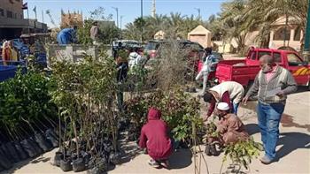 محافظ الشرقية: زراعة 609 ألف شجرة ضمن المبادرة الرئاسية بالمراكز والمدن والأحياء