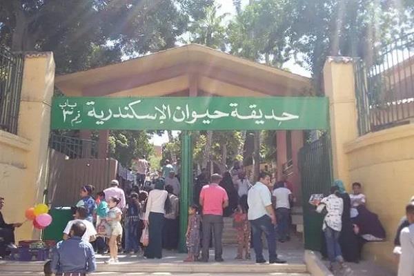 مدير حديقة الحيوان بالإسكندرية: استقبلنا نحو 4000 زائر خلال أول يوم في عيد الأضحى