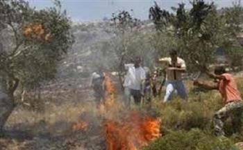 إعلام فلسطيني: المستوطنون يحرقون أرضا زراعية في قرية برقا شرق رام الله