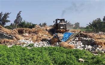 الإسكندرية: حملات للتصدي وإزالة التعديات على الأراضي الزراعية بأحياء المحافظة