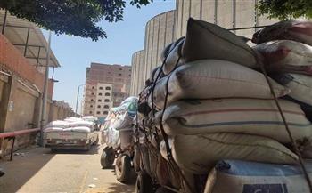 توريد أكثر من 603 آلاف طن من القمح للشون بمحافظة الشرقية