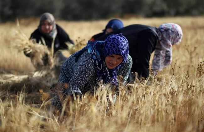 30 يونيو إرادة شعب.. مسيرة نحو تمكين المرأة المصرية