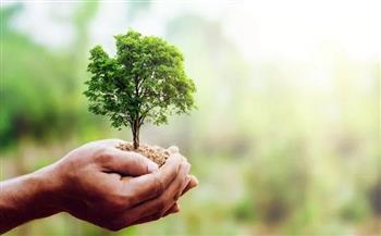 وزيرة البيئة : تسريع وتيرة تنفيذ مبادرة الـ 100 مليون شجرة وتوصيات تجرم قطع الأشجار