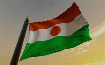 مقتل 20 جنديًا ومدنيًا في هجوم إرهابي في النيجر