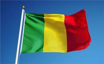 الرئيس الانتقالي في مالي يقوم بزيارة عمل إلى بوركينا فاسو 