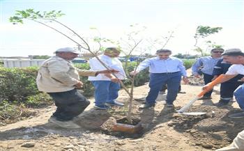محافظ الغربية يعلن زراعة 530 شجرة في المراكز والمدن والأحياء
