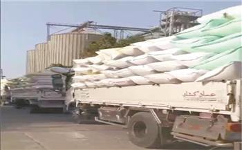 الشرقية: توريد أكثر من 610 آلاف طن من القمح للشون والصوامع ومراكز التجميع