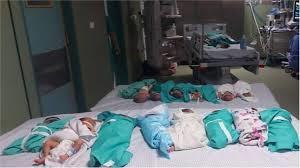 أطفال غزة الخُدج.. مأساة خلقتها آلة الحرب الإسرائيلية