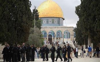 مئات المستوطنين يقتحمون الأقصى و"الاحتلال" يشدد إجراءاته في القدس 