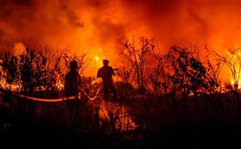 اندلاع أكثر من 40 حريقا بنهاية الأسبوع في اليونان ورئيس الوزراء يحذر من مخاطر انتشارها