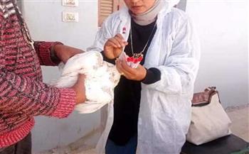 "بيطري الشرقية": تحصين الدواجن ضد أنفلونزا الطيور والماشية ضد الحمى القلاعية 