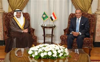 وزير الخارجية: أمن واستقرار ورخاء دول الخليج مصلحة مصرية مباشرة