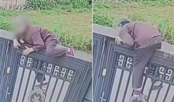 فيديو.. صينية في الـ93 من عمرها تتسلق جدارًا بمهارة صادمة لتهرب من دار مسنّين