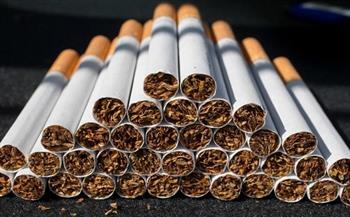 أبرزها الشركات المصنعة.. إبراهيم إمبابي يكشف أسباب ارتفاع أسعار السجائر