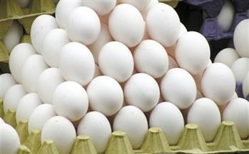 سعر كرتونة البيض للمستهلك اليوم الأربعاء 17-7-2024