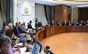 الوزراء يوافق على تخصيص أراضٍ لإقامة مناطق لوجستية في شمال سيناء