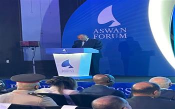 وزير الخارجية: مصر ترى أهمية تطبيق مبدأ الحلول الإفريقية لمشاكل القارة بعيداً عن التدخلات الخارجية