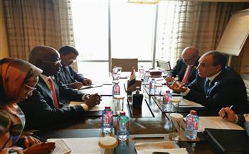 وزير الخارجية يبحث مع نظيره الموريتاني تعزيز التعاون المشترك