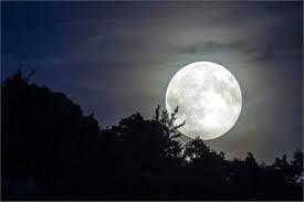  الليلة.. القمر يزين السماء بدرًا بنسبة لمعان 100%