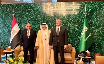 شراكة استراتيجية بين مصر والسعودية فى مجالات الكهرباء والطاقة المتجددة