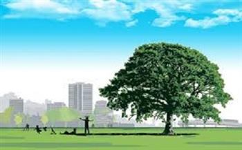 أستاذ الدراسات البيئية: مبادرة 100 مليون شجرة تحقق بعد مهم من أبعاد التنمية المستدامة 