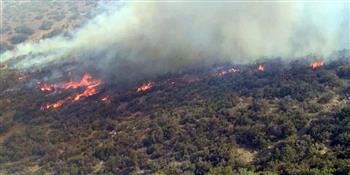 المغرب: إخماد حريق مهول بأحد الغابات بمدينة تطوان