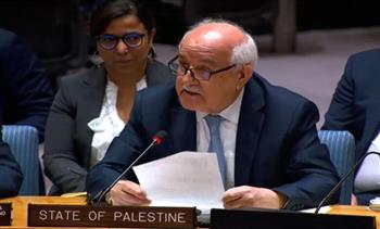 مندوب فلسطين لدى الأمم المتحدة: لا بد لنا من وضع حد للاعتداء المروع على غزة