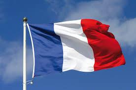 فرنسا تدين الهجوم على الجولان وتدعو إلى عدم التصعيد العسكري